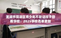 芜湖市镜湖区青少年不听话孩子管教学校：2025学校名单更新