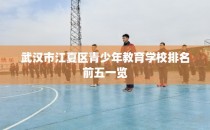 武汉市江夏区青少年教育学校排名前五一览