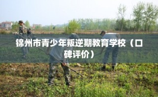 锦州市青少年叛逆期教育学校（口碑评价）