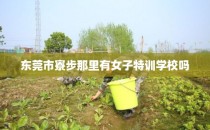 东莞市寮步那里有女子特训学校吗