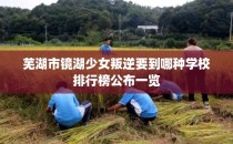 芜湖市镜湖少女叛逆要到哪种学校排行榜公布一览