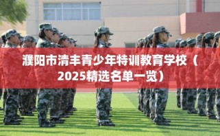 濮阳市清丰青少年特训教育学校（2025精选名单一览）