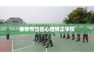 泰安市岱岳心理矫正学校