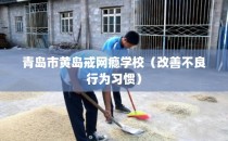 青岛市黄岛戒网瘾学校（改善不良行为习惯）