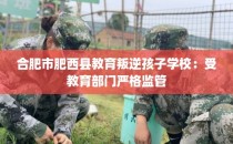 合肥市肥西县教育叛逆孩子学校：受教育部门严格监管