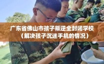 广东省佛山市孩子叛逆全封闭学校（解决孩子沉迷手机的情况）