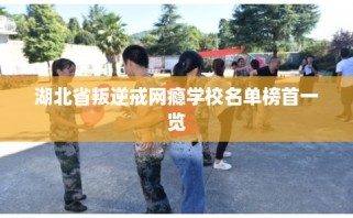 湖北省叛逆戒网瘾学校名单榜首一览