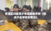 青浦区问题青少年戒网瘾学校（解决不去学校的情况）