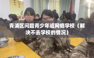 青浦区问题青少年戒网瘾学校（解决不去学校的情况）