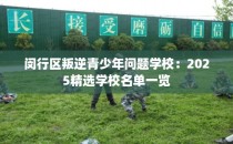 闵行区叛逆青少年问题学校：2025精选学校名单一览