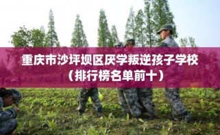 重庆市沙坪坝区厌学叛逆孩子学校（排行榜名单前十）