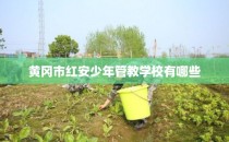 黄冈市红安少年管教学校有哪些