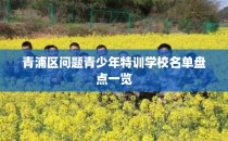 青浦区问题青少年特训学校名单盘点一览