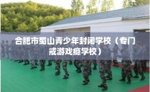 合肥市蜀山青少年封闭学校（专门戒游戏瘾学校）