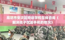 廊坊市安次区特训学校在线咨询（解决孩子沉迷手机的情况）