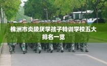 株洲市炎陵厌学孩子特训学校五大排名一览