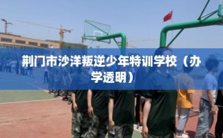 荆门市沙洋叛逆少年特训学校（办学透明）
