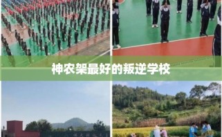 神农架最好的叛逆学校