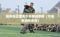 锦州市正规青少年特训学校（可免费到校参观）