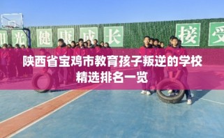 陕西省宝鸡市教育孩子叛逆的学校精选排名一览