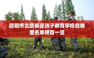 邵阳市北塔叛逆孩子教育学校在哪里名单榜首一览