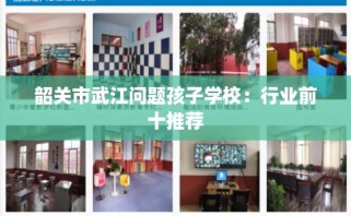 韶关市武江问题孩子学校：行业前十推荐