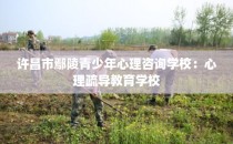 许昌市鄢陵青少年心理咨询学校:心理疏导教育学校