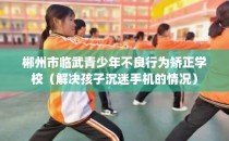 郴州市临武青少年不良行为矫正学校（解决孩子沉迷手机的情况）