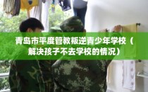 青岛市平度管教叛逆青少年学校（解决孩子不去学校的情况）