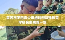 黄冈市罗田青少年培训班特殊教育学校名单榜首一览