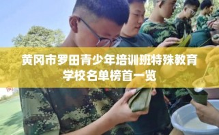 黄冈市罗田青少年培训班特殊教育学校名单榜首一览