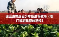 连云港市连云少年叛逆管教所（专门戒游戏瘾的学校）