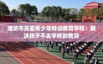 潍坊市高密青少年特训教育学校：解决孩子不去学校的情况