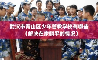 武汉市青山区少年管教学校有哪些（解决在家躺平的情况）