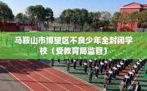 马鞍山市博望区不良少年全封闭学校（受教育局监管）
