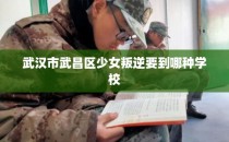 武汉市武昌区少女叛逆要到哪种学校