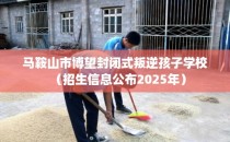 马鞍山市博望封闭式叛逆孩子学校（招生信息公布2025年）