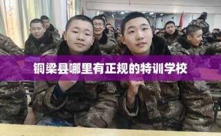 铜梁县哪里有正规的特训学校