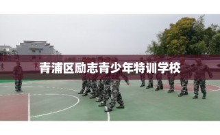 青浦区励志青少年特训学校