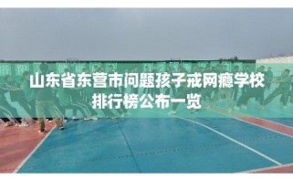 山东省东营市问题孩子戒网瘾学校排行榜公布一览