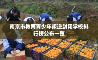 南京市教育青少年叛逆封闭学校排行榜公布一览