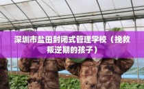 深圳市盐田封闭式管理学校（挽救叛逆期的孩子）