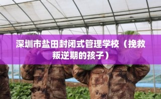 深圳市盐田封闭式管理学校（挽救叛逆期的孩子）