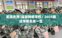 芜湖市湾沚戒除网瘾学校：2025精选学校名单一览