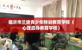 临沂市兰陵青少年特训教育学校（心理疏导教育学校）