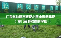 广东省汕尾市叛逆小孩全封闭学校：专门戒游戏瘾的学校