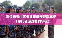 武汉市青山区未成年叛逆管教学校（专门戒游戏瘾的学校）