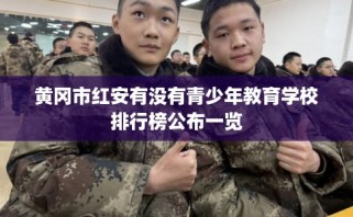 黄冈市红安有没有青少年教育学校排行榜公布一览
