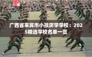 广西省来宾市小孩厌学学校：2025精选学校名单一览