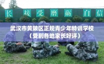 武汉市黄陂区正规青少年特训学校（受到各地家长好评）